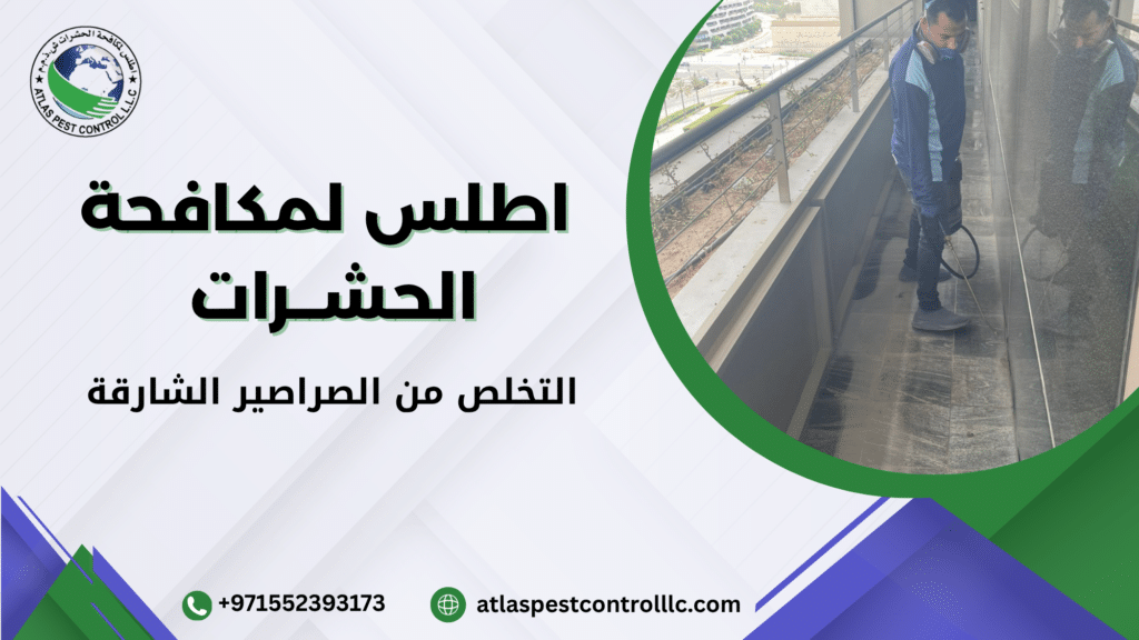 علامات وجود الصراصير في المنزل