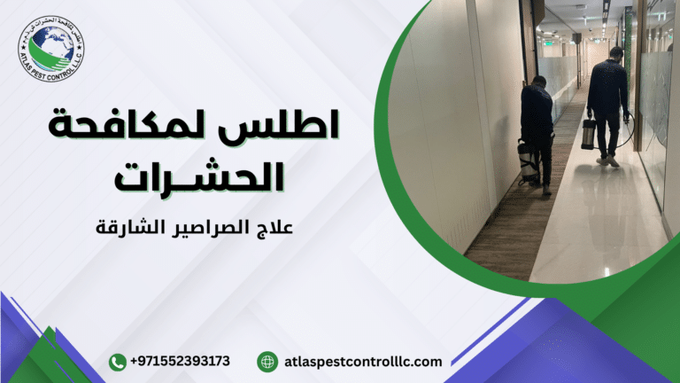 علاج الصراصير الشارقة