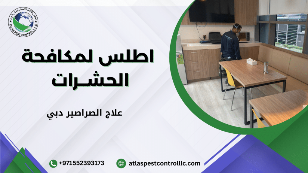 أنواع الصراصير الأكثر شيوعا