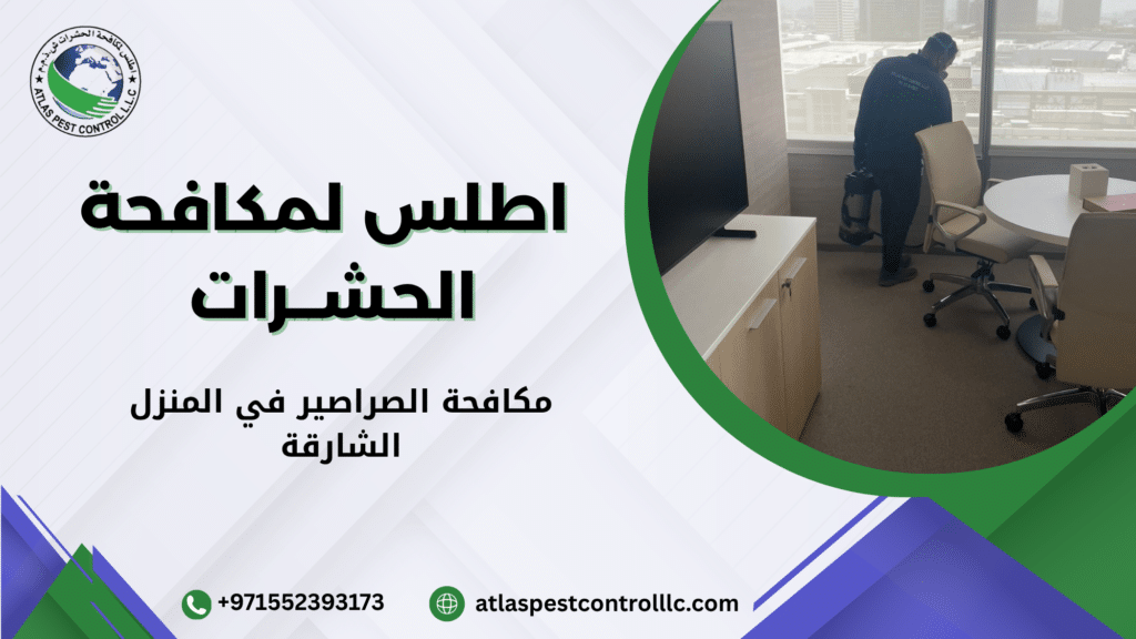 أخطاء شائعة أثناء المكافحة