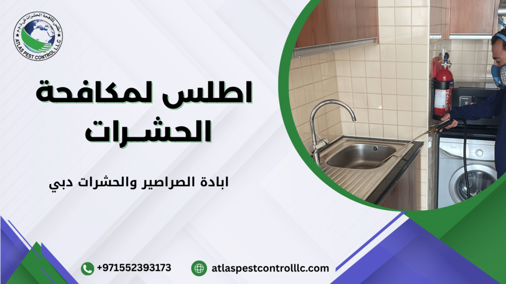 أنواع الحشرات الشائعة في دبي