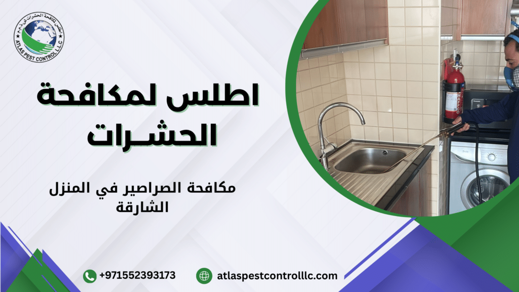 مكافحة الصراصير في المنزل الشارقة
