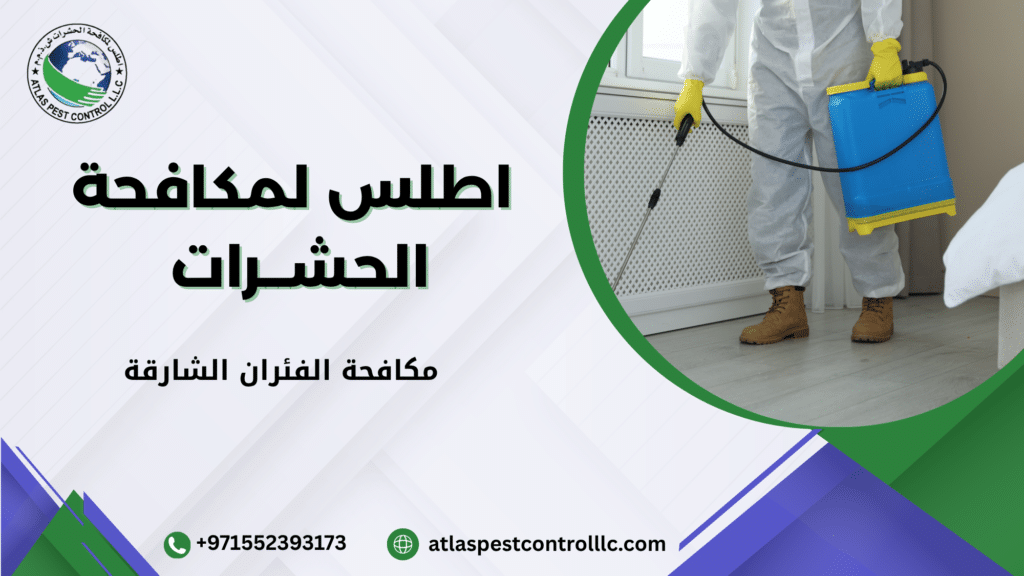 مكافحة الفئران الشارقة