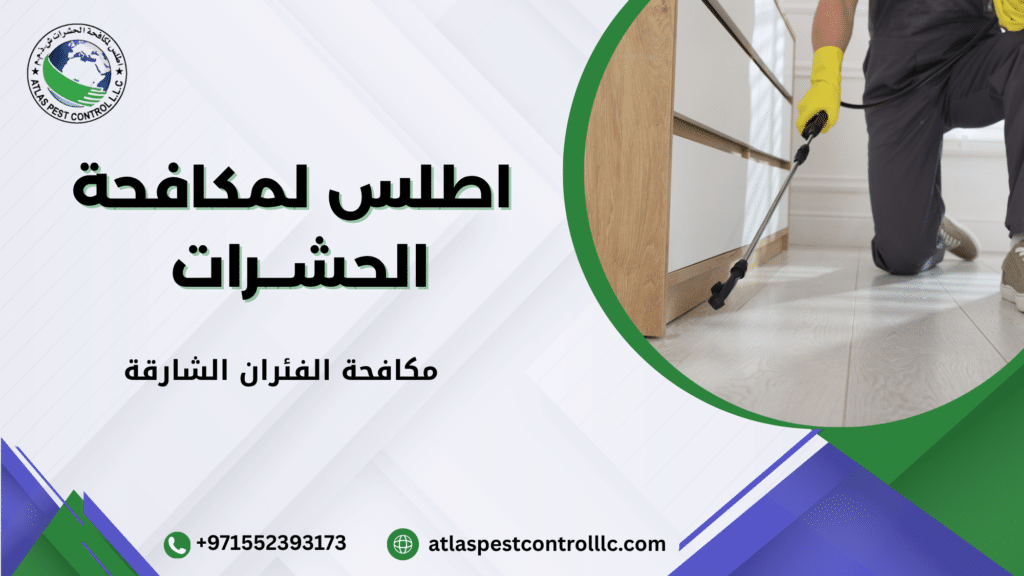 مكافحة الفئران الشارقة