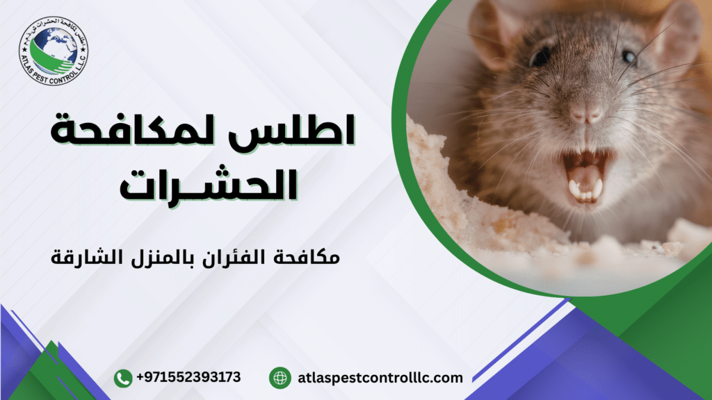 مكافحة الفئران بالمنزل الشارقة