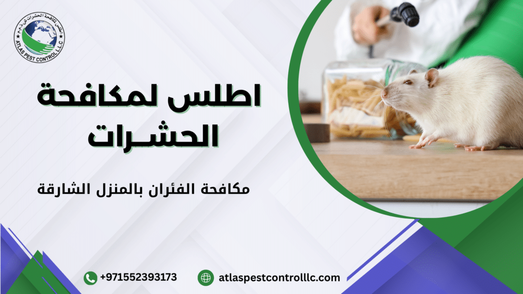 مكافحة الفئران بالمنزل الشارقة