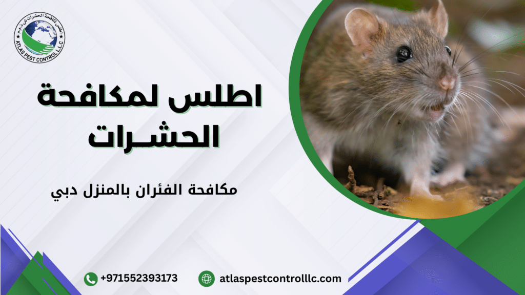 أفضل أنواع المصائد والطعوم