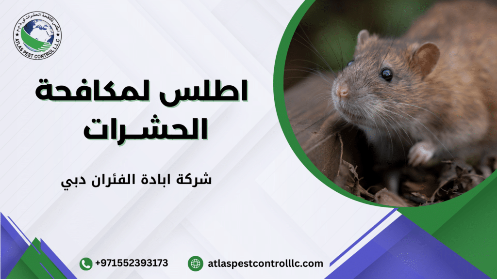 أخطاء يجب تجنبها