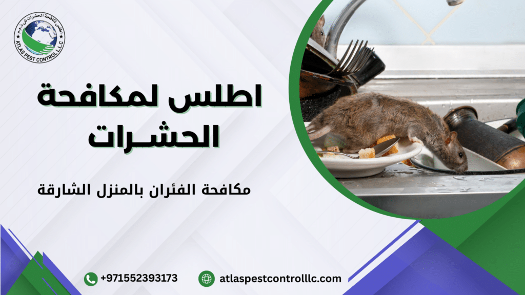 علامات وجود الفئران