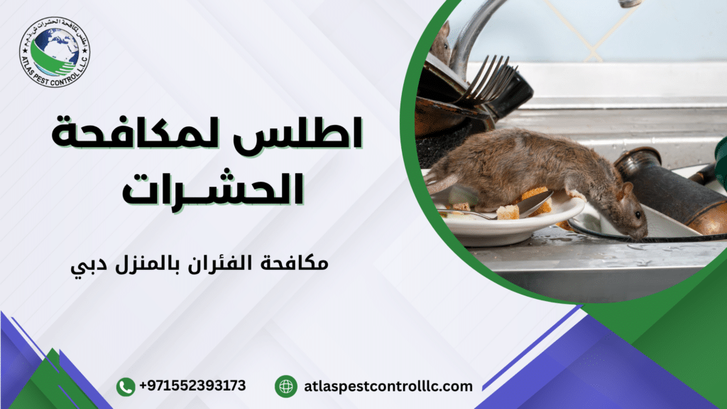 علامات وجود فئران داخل المنزل