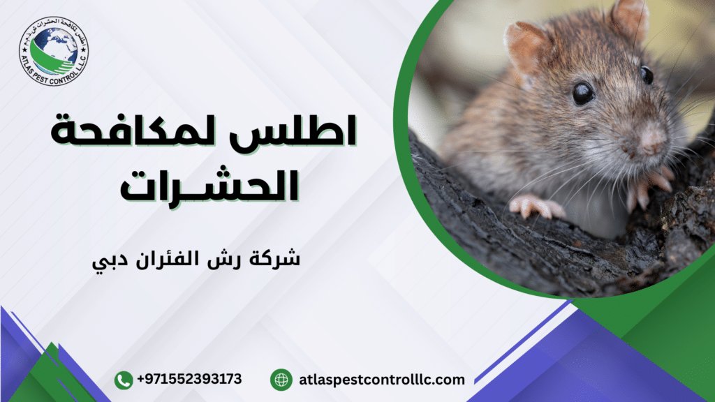 خدمات دبي والشارقة في مكافحة الآفات
