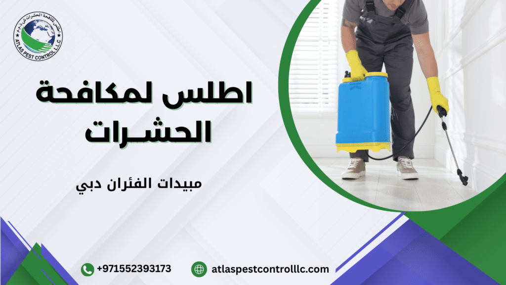 مبيدات الفئران دبي الحل الأسرع لحماية المنزل