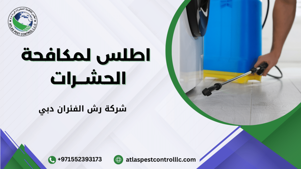 أنواع القوارض والحشرات المنتشرة