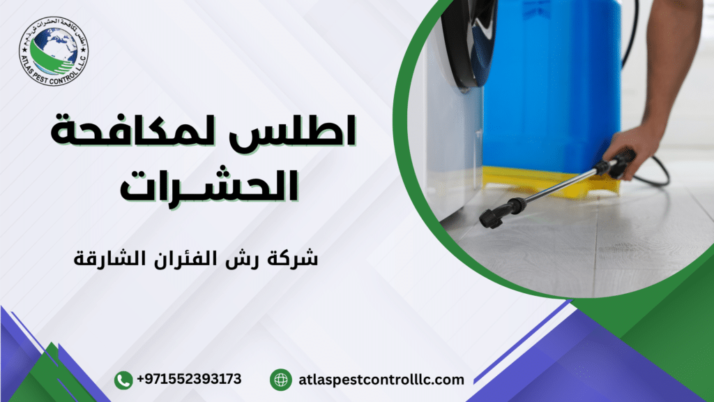 مخاطر وجود الفئران