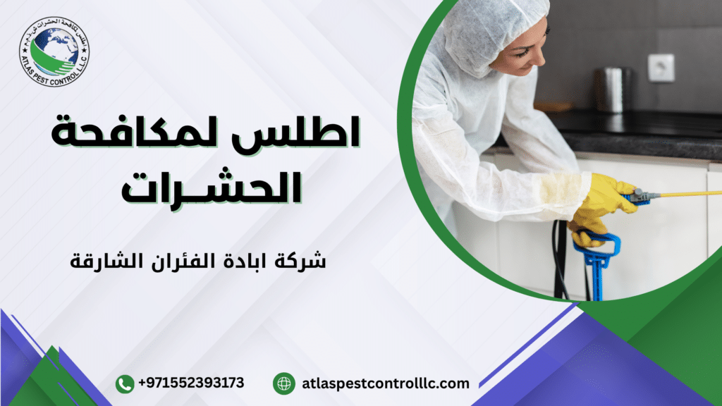 شركة ابادة الفئران الشارقة