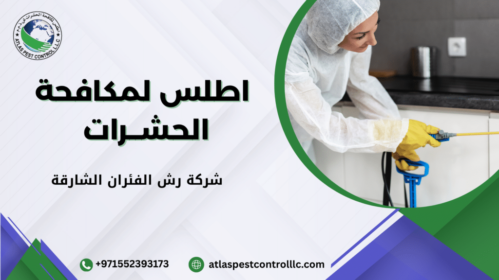 لماذا تحتاج إلى شركة رش الفئران الشارقة