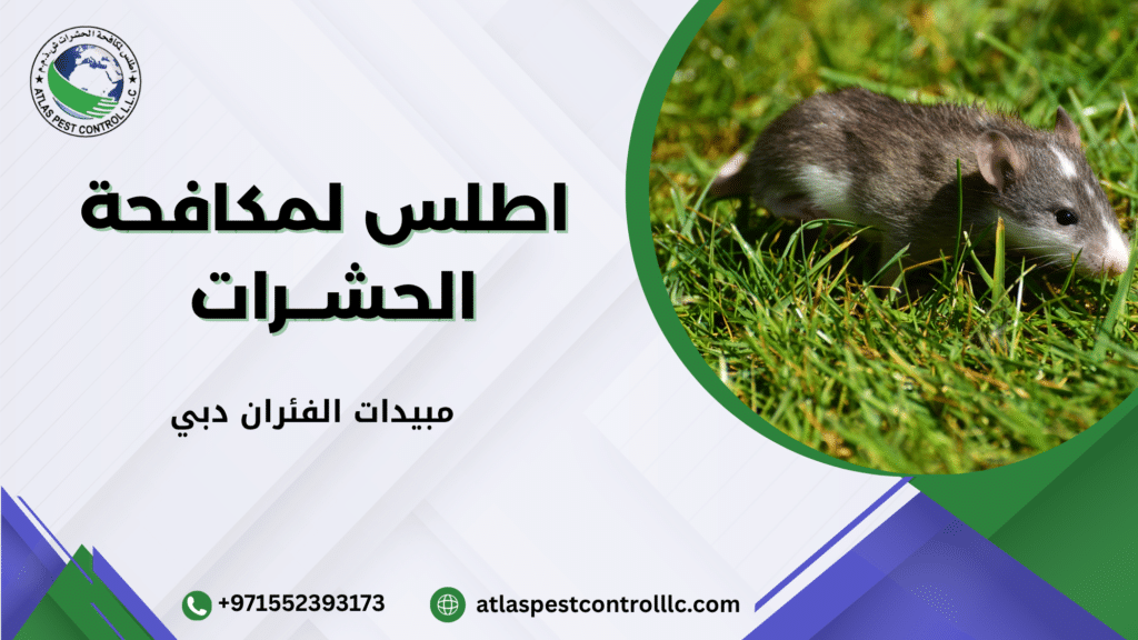 أخطاء يجب تجنبها