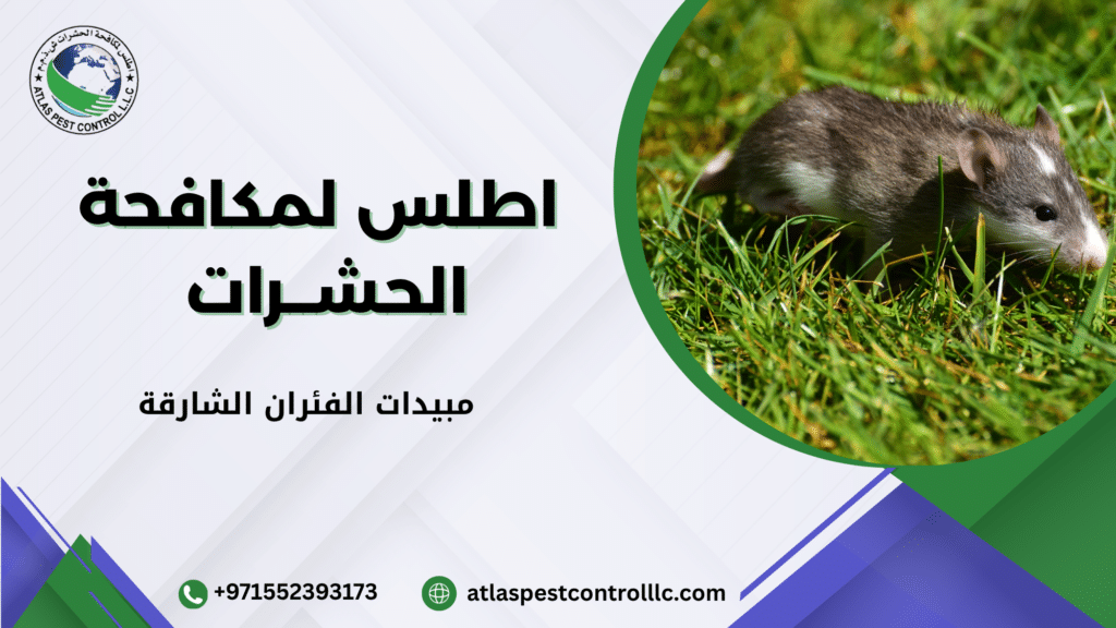 نصائح وقائية