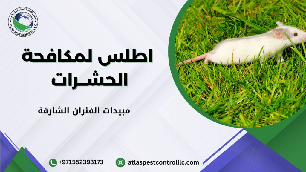 طريقة استخدام مبيدات الفئران