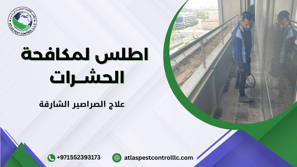 ما هو علاج الصراصير الشارقة