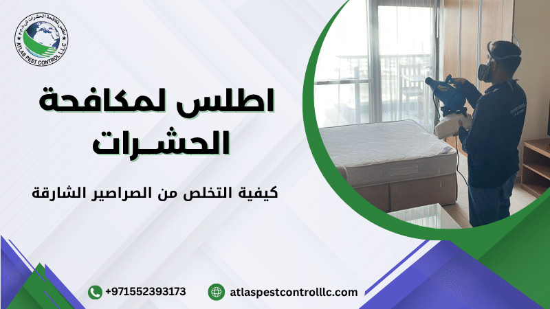 كيفية التخلص من الصراصير الشارقة