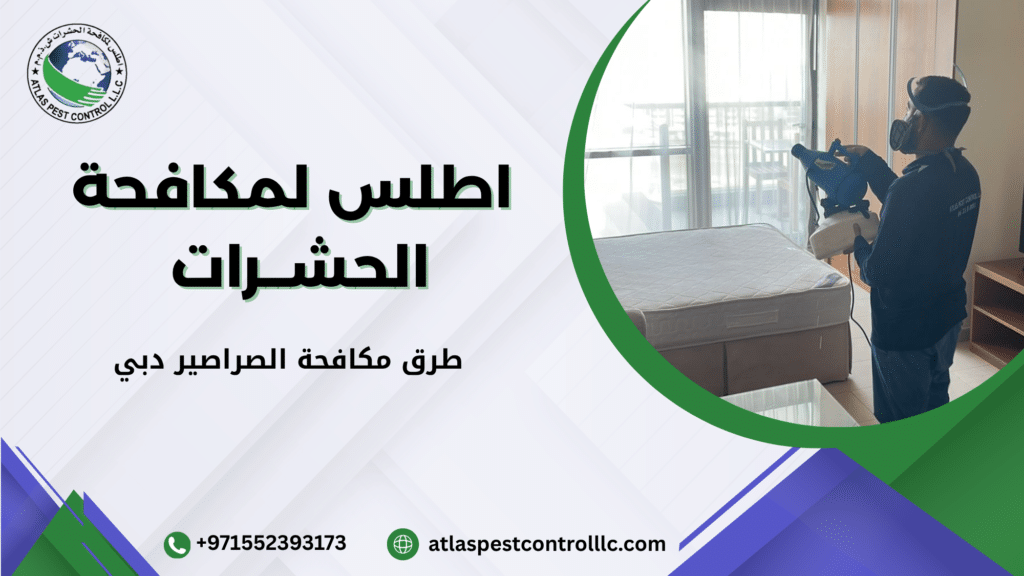 الطرق الاحترافية لمكافحة الصراصير