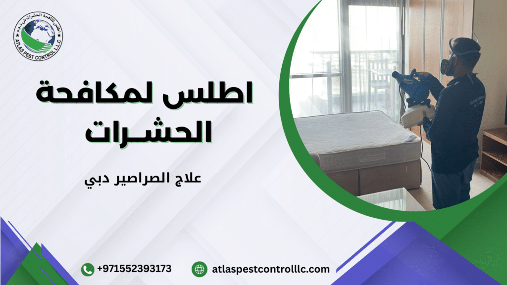 علاج الصراصير دبي