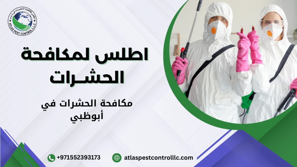 مكافحة الحشرات في أبوظبي باستخدام مبيدات آمنة وفريق متخصص للقضاء على الصراصير والنمل والبق