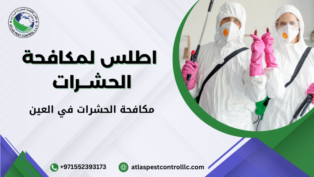 مكافحة الحشرات في العين باستخدام مبيدات آمنة وفريق متخصص للقضاء على الصراصير والنمل والبق