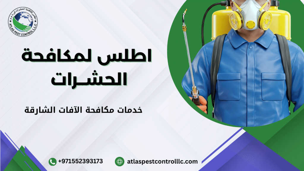 ما هي خدمات مكافحة الآفات الشارقة وكيف تعمل بالتفصيل