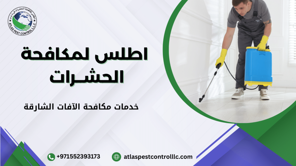 أهمية خدمات مكافحة الآفات الشارقة لحماية المنازل والمباني
