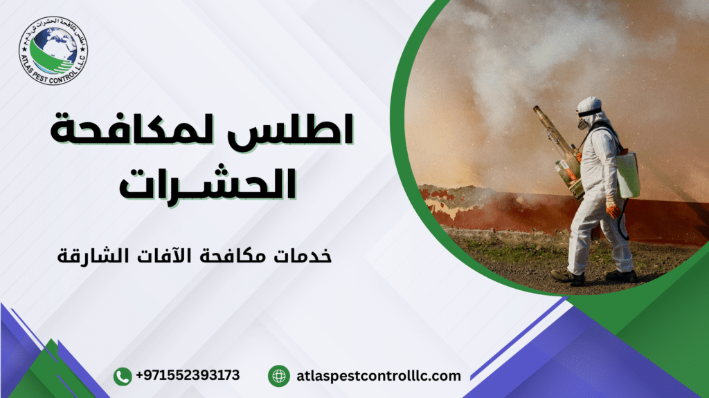 الفرق بين الشركات العادية وشركات مكافحة الآفات المتخصصة