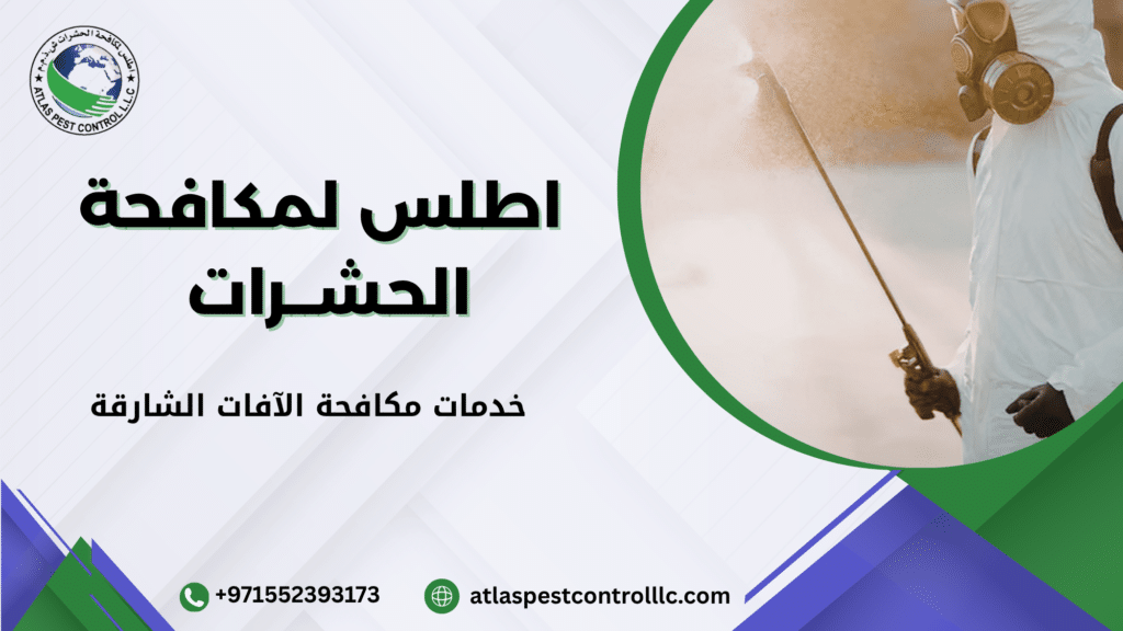 فوائد الاعتماد على خدمات مكافحة الآفات الشارقة